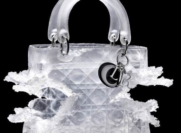 Lady Dior As Seen By