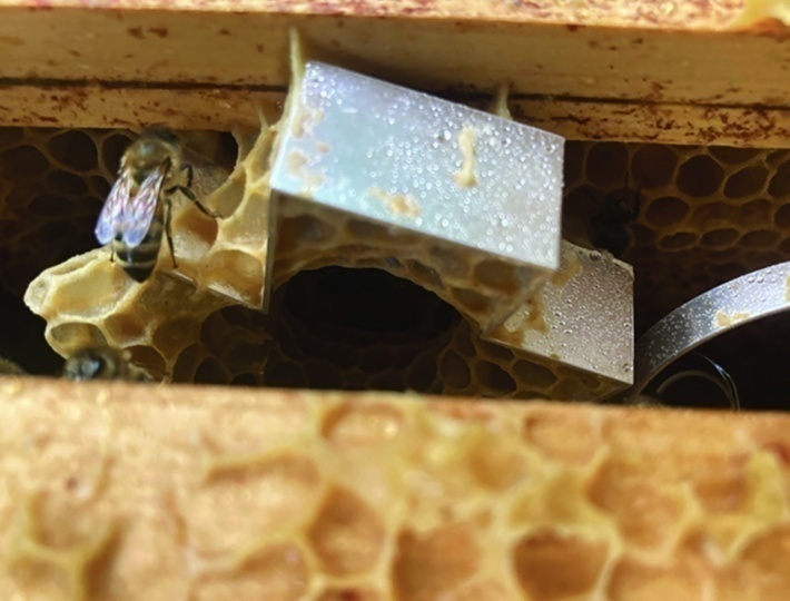 Украшения, подчеркивающие роль пчел в экосистеме