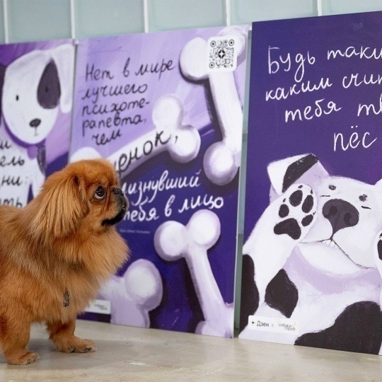 В нескольких локациях Москвы появились постеры для собак