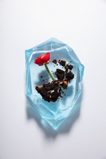 Egosystem исследует проблему утилизации пластика в проекте Iceberg