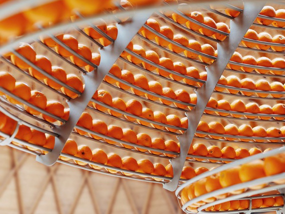 Карло Ратти превращает апельсины в биопластик